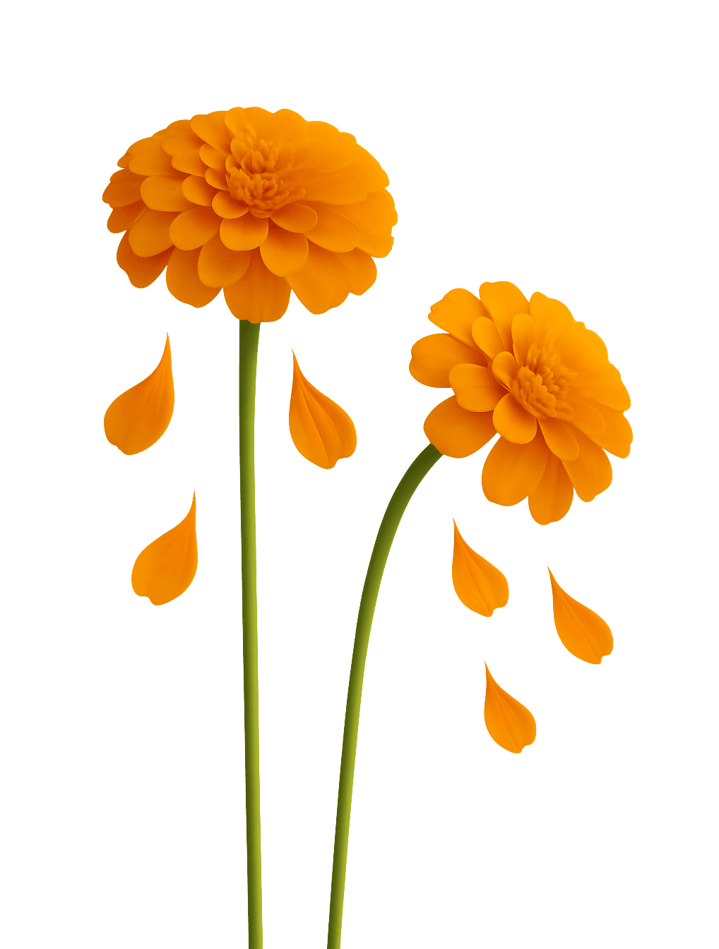 Offer Section Background